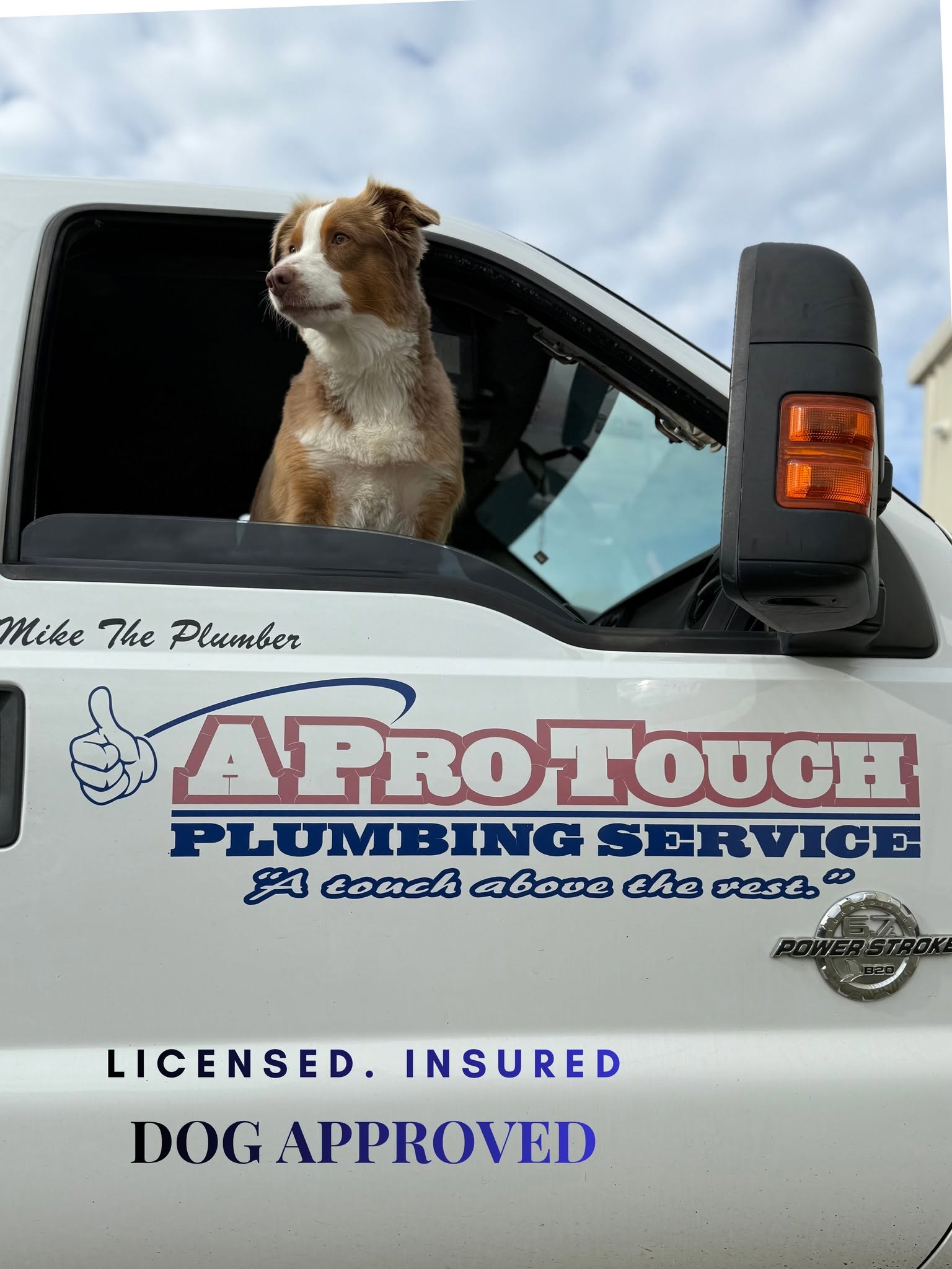 aprotouch-with-dog
